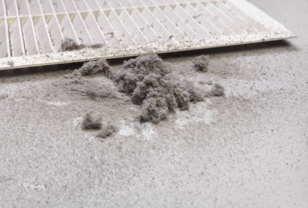Best Best Air Duct Cleaning Company  in Dortches, NC
