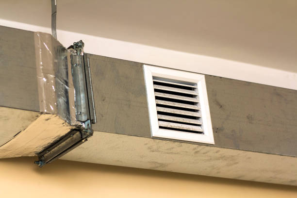 Best Professional Duct Cleaning Services  in Dortches, NC